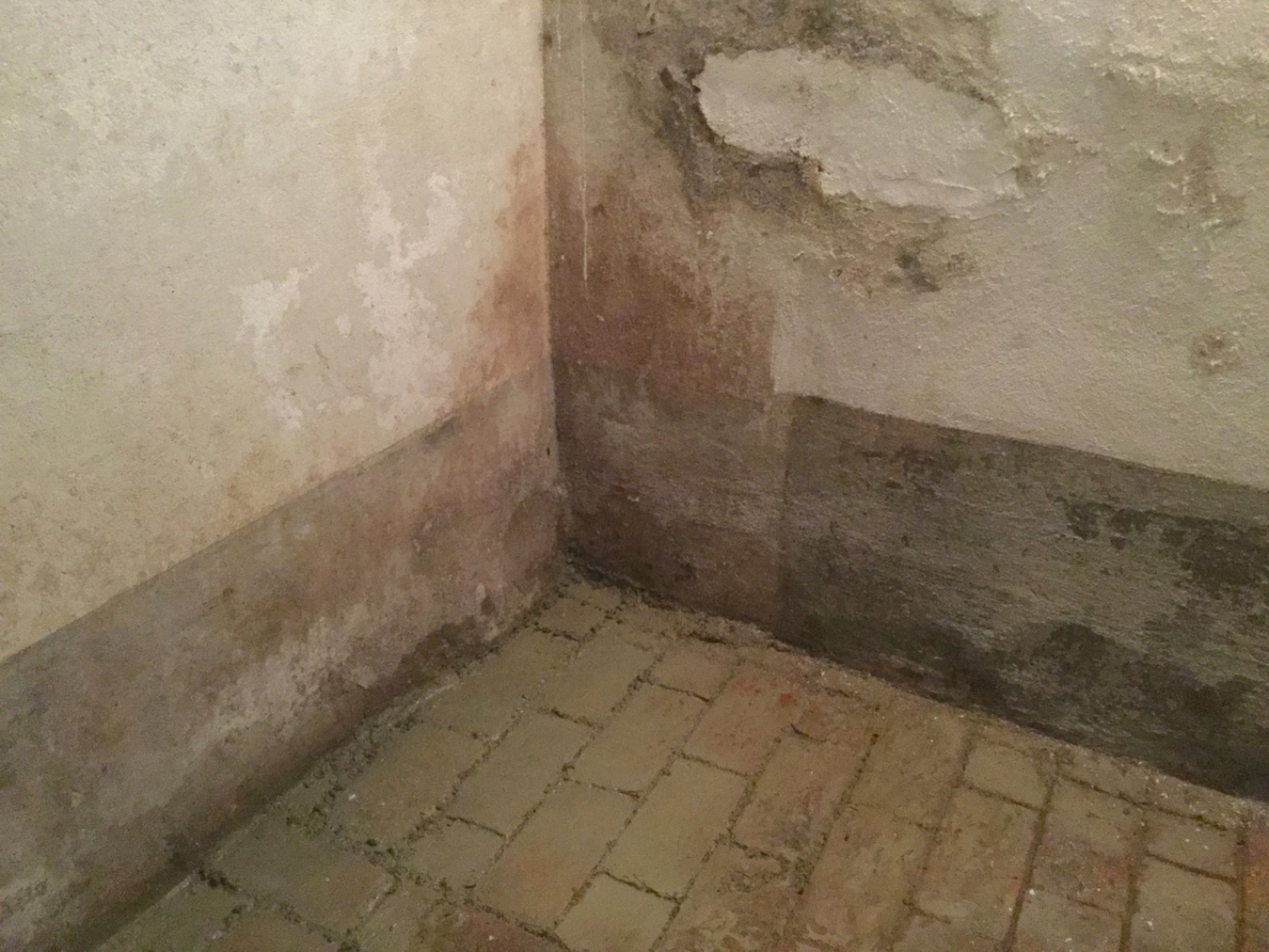 Gewölbe-Keller • Je nach Witterung dringt Feuchtigkeit in den Keller ein, oft steht Wasser stellenweise bis 2 cm hoch